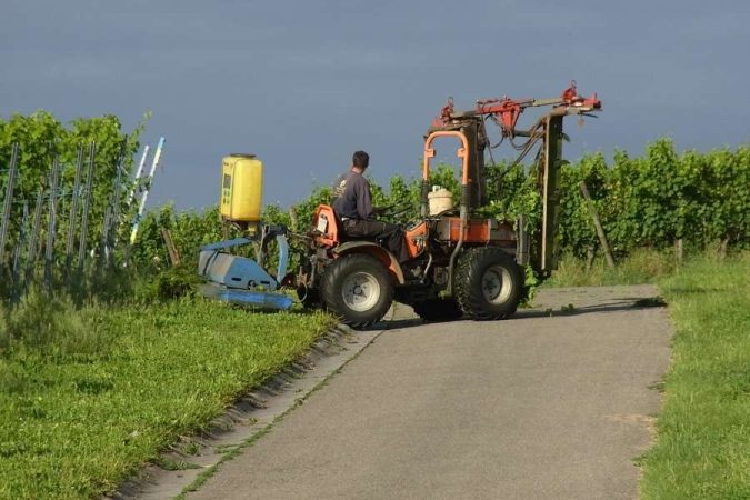 Un vigneron conduit son tracteur viticole orange équipé d'outils interlignes dans une allée de vigne.